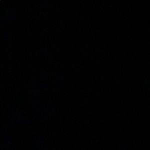 Meet your Posher, Felix